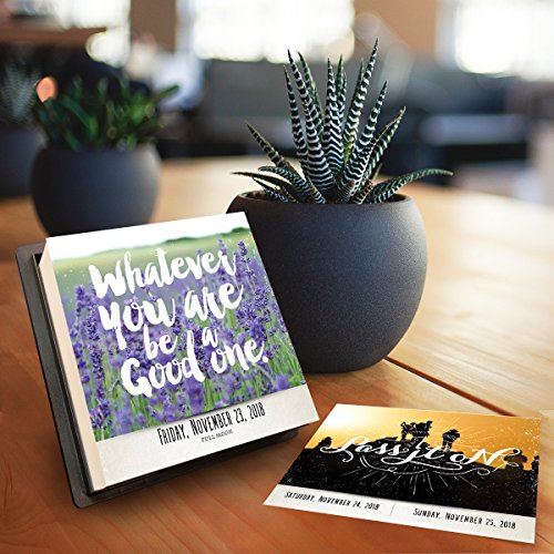 Soar 2018 Daily Desktop Calendar: Page a Day