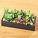 Collections Etc Faux Succulent Garden with Tray, Black