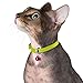 CollarDirect Leather Cat Collar, Cat Safety Collar with Elastic Strap, Kitten Collar with Bell Black Blue Red Orange Lime Green (8-11 Inch, Yellow)