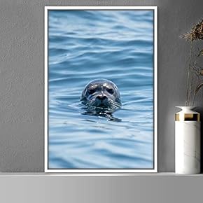 signwin Framed Canvas Wall Art Fish on The...