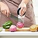 ORBLUE All-In-One Onion Holder, Odor Remover, Slicer, Cutter and Chopper