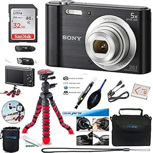 W800 (Black) + 32GB Memory Card + Expo-Basic Accessory Bundle