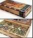 BioShock Infinite Deluxe Collector's Edition Bronze Vigor - 8 Pin Set