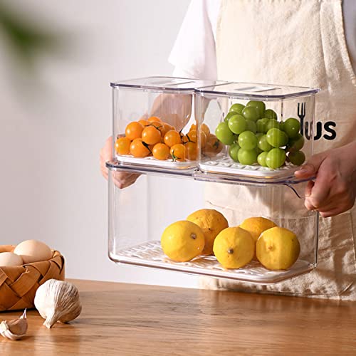 UYTI, Vegetable Fruit Food Fridge Storage Containers Produce Saver with