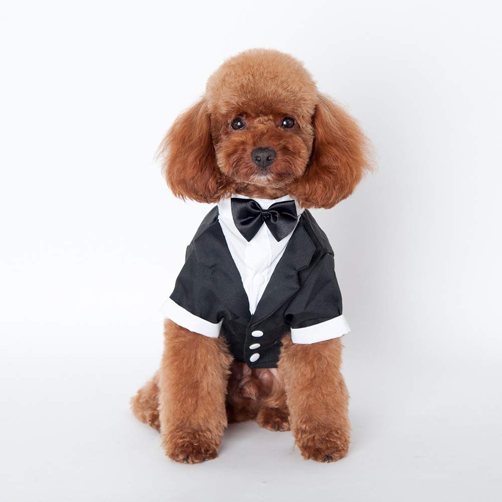 Handfly Pet Vetements Pour Chien Chat Chiot Formel Smoking Avec Black Tie Costume De Fete De Mariage Nœud Papillon Fantaisie Deguisements Et Accessoires Deguisements