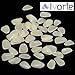 IVORIE Ultra Thin Whitening Veneers Resin Teeth Upper Anterior 50PCS (A2)