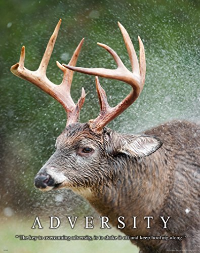 Whitetail Deer Motivational Poster Art Print 11x14 Bow Hunting Buck Commander Wall Decor Pictures