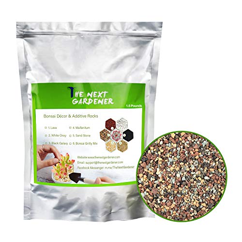 The Next Gardener Succulent and Cactus Soil Bonsai Gritty Mix, Pre-Mixed Faster Draining Blend, No Root Rot, 1.5lb