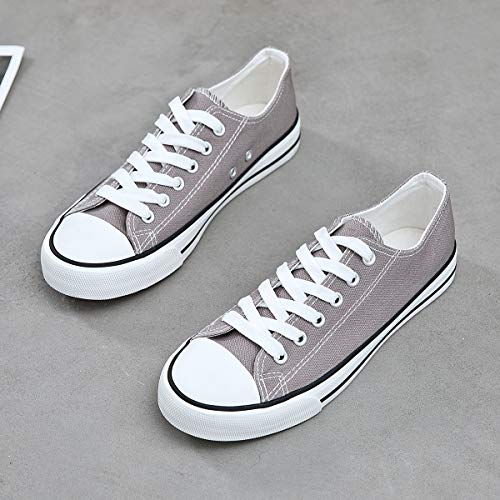 Adokoo Womens Canvas Shoes Casual Cute Sneakers Low Cut Lace up Fashion