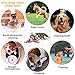 Dog Chew Toys, 2 Pcs Pet Chew Toys for Aggressive Chewers, Durable Teeth Cleaning Toys Dog Toothbrush Stick, Dog Toothbrush Bone Chew Toys for Playing, Throwing, Chasing, Biting, Training Teething Toy