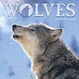 Wolves 2020 Wall Calendar by 