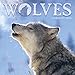 Wolves 2020 Wall Calendar by 