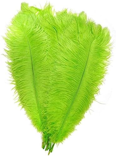 AABABUY Pack of 100,Naturl Ostrich Feathers 26-28inch (65-70cm) Plumes Wedding,Clothing,Party,Table Decoration,DIY (Lime Green)