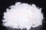 Eastwarmth Bulk Natural 5% White Goose Down Feather