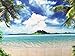 Avezano 7x5ft Summer Beach Backdrops for Photography Blue Sea and Sky Background Palm Trees Photo Backdrop for Photo Booth
