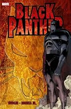 Black Panther: Who is the Black Panther