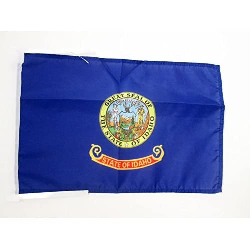 AZ FLAG - Idaho Flag - 18'' x 12'' - 100% Polyester US state of Idaho Small Banner with Two Cords - Fade Resistant - Vivid Colors - 18x12 in - 45x30 Cm โ image 1