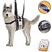 Veterinarian Approved Dog Support Harness + Hair Remover Glove - Dogs Sling Lift for Paralyzed Legs - Adjustable Straps - Mobility Rehabilitation for Injured Arthritis Elderly Disabled - XL breed