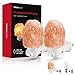 TORCHSTAR Himalayan Salt Night Light Plug-in with 8 Replacement Bulbs, ETL Certified, Natural Crystal Rock Salt Lamps Himalayan, Small Hand Carved Night Light, Light Gifts, Pack of 4