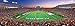 MasterPieces - 1000 Piece Jigsaw Puzzle, NCAA Auburn Tigers, Panoramic Football Stadium View, Fun for Adults and Family, 13
