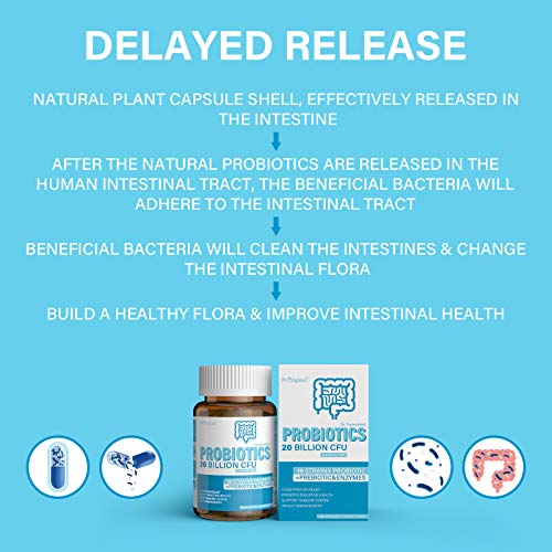 Probiotics & Prebiotics Blend with Digestive Enzyme for Women & Men