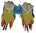 Rainbow Wings Costume Accessory