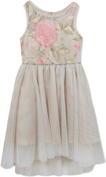 rare editions floral embroidered dress
