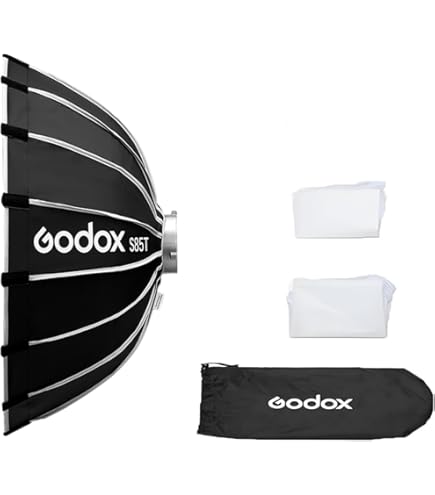 Amazon.com : Godox Honeycomb Grid for Godox QR-P120 P120L P120H