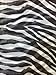 2 Piece Black White Zebra Sheer Window Curtains/drape/panels/treatment 60