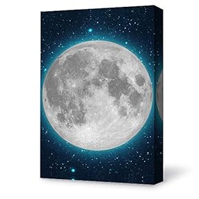 for Living Room Bedroom Home Artwork Paintings Beautiful Moonlight