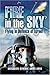 Fire in the Sky: Flying in Defence of Israel