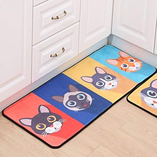 Vinmax Cartoon Doormat, Lovely Entrance Doormat Anti-slip Front Door Mat for Home Bathroom Kitchen Bedroom Living Room Carpet (D)