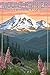 Lantern Press 9x12 Inch Art Print Wall D√©cor, Mount Rainier National Park, Washington, Bear and Spring Flowers