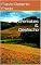 Livro Arremates & Desfecho