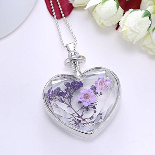Clearance Women Necklace Daoroka Fashion Dry Flower Love Heart Glass Bottle Pendant Necklace Forget Me Not Valentines Gift For Girlfriends (E) - Thumbnail 2