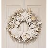 20" Seashell Wreath on White Twig with Sea Fans, Star Fish, & Sea Urchins in 5 Colors 511EQ93YqHL
