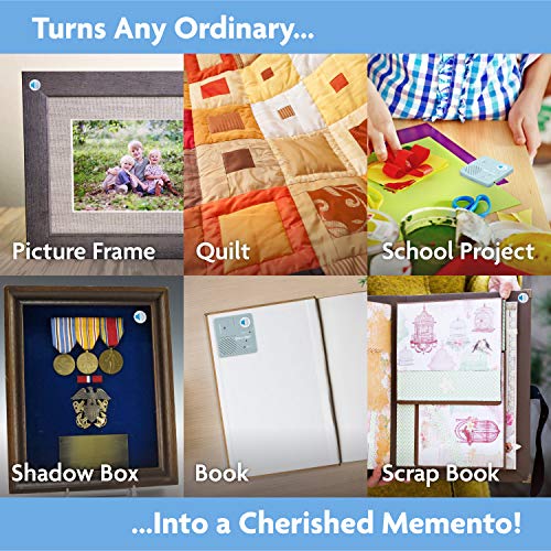 Voice Express VoiceOver Voice Recorder for Picture Frames, Books