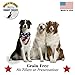 Grain Free Dog Treats Made In USA Only - All Natural, Healthy Crunchy Turkey Sticks Dogs Love! (16 Ounces)