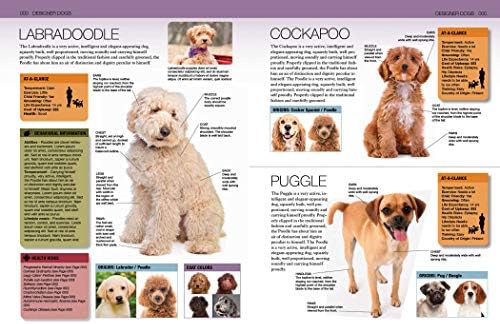 all dogs unleashed prices