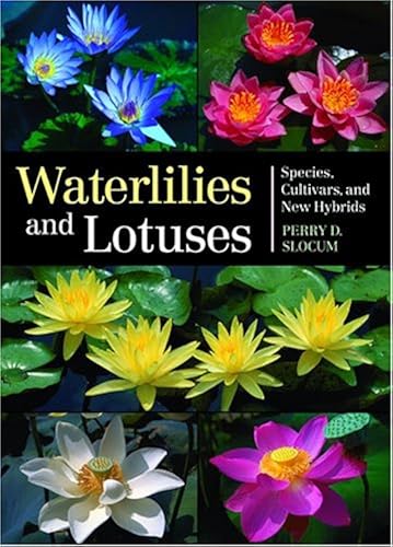 Download Waterlilies And Lotuses: Species, Cultivars, And New Hybrids PDF