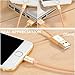 Apple MFi Certificated DLAND Golden Braided Aluminum USB Cable 3.3ft (1M) 8-Pin Lightning USB Charge Tangle Free Heavy Duty Lightning Charger Cable Cord for iPhone 6 6 Plus 5S 5C 5, iPad Air, iPad 4th Generation, iPad Mini, iPad Mini with Retina Display, iPod Touch 5th Generation and iPod Nano 7th Generation