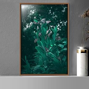 signwin Framed Canvas Wall Art Butterflies Butterfly Colorful...