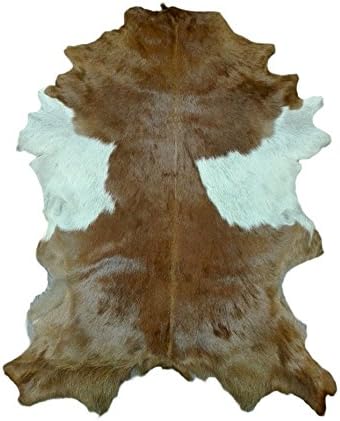 Zerimar Goat area rug Size: 3' 3'' x 2' 6'' FT 100% Natural Perfect for decoration