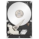 Seagate 2TB Desktop HDD SATA 6Gb/s 64MB Cache 3.5-Inch Internal Bare Drive (ST2000DM001)