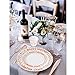 150pcs Rose Gold Premium Plastic Cutlery&Plates Set/Confetti Birthday Tableware Including 25 Dinner Plates, 25 Salad or Dessert Plates & 25 Polished Rose Gold Forks Knives & Spoons & 9oz cups