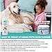 Forticept Blue Butter Antimicrobial Gel, Antiseptic Hydrogel Wound Treatment, Dogs & Cats for Hot Spots, Pyoderma, Skin Infections, Rashes, Sores, Wounds, Burns | 8 OZ