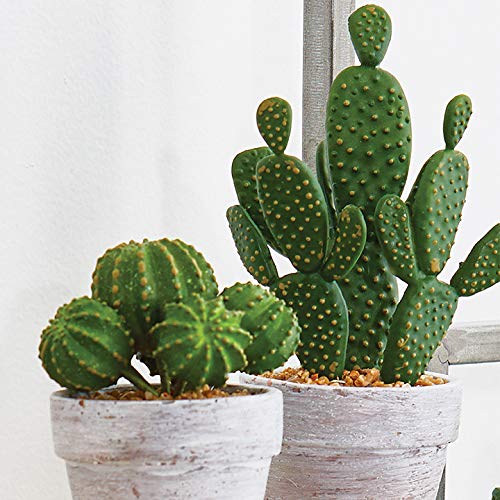 Raz Small Realistic Artificial Faux Cactus Potted Plant Set, 1 Prickly Pear Cactus & 1 Barrel Cactus in 4 inch White Wash Painted Ceramic Pots, Set of 2 | 9" Tall | Modern BOH