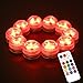 Acmee (pack of 10) Multi-color 3 LEDs Water Proof floral Light with Remote Control /12 colors LED Submersible Tea Light with remote control for Wedding or Party Decoration