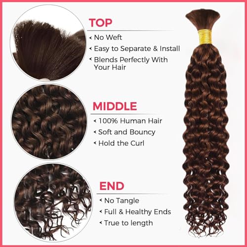 Human Braiding Hair 1 Bundle Water Wave Human Hair Brazilian Curly Boho Hair for Braiding No Weft for Boho Braids Human Hair Wet and Wavy for Extensions Chocolate Brown Color(20inch/50g)