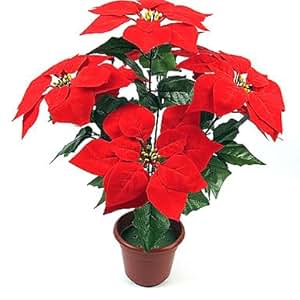 CATint Christmas Ornaments Red Christmas Flower ,Plastic 